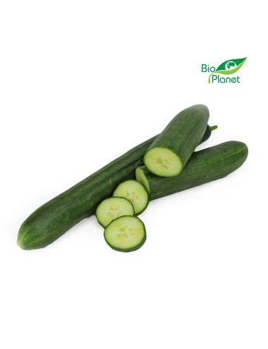 OGÓREK DŁUGI ŚWIEŻY BIO (około 0,25 kg)