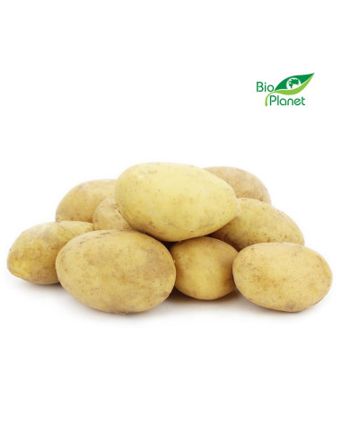 OPAKOWANIE ZBIORCZE (kg) - ZIEMNIAKI MŁODE ŚWIEŻE BIO (około 12,5 kg)
