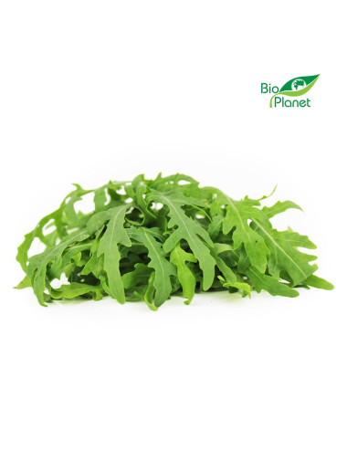 RUKOLA ŚWIEŻA NIEMYTA BIO (POLSKA) (około 0,10 kg)