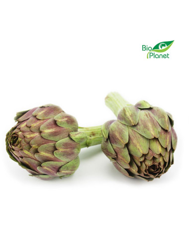 KARCZOCH ŚWIEŻY BIO (około 0,30 kg)